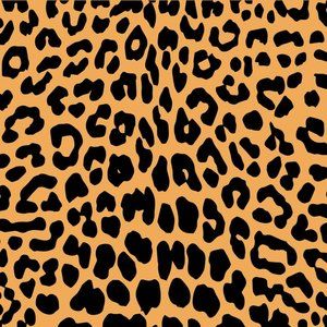 Meet your Posher, Kit and Mindy